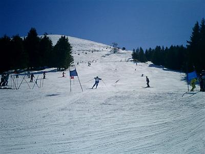 Pezz13Mar05 013